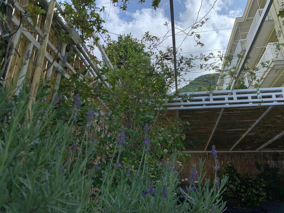 Dimaru Apartamento Gragnano Exterior foto